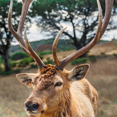 andreas-dress-Iw12lY3koDk-unsplash andreas-dress-Iw12lY3koDk-unsplash