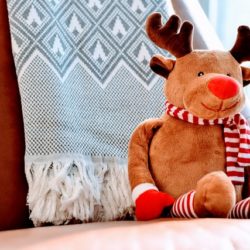 THE ``RUDOLPH`` FAMILY