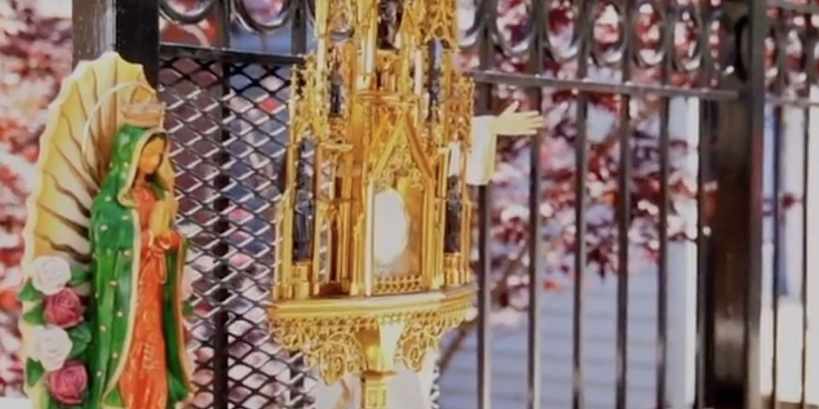 Screen Shot 2021-02-10 at 5.52.38 PM