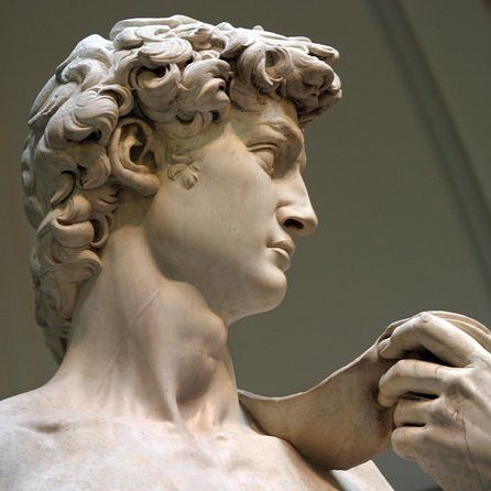 david