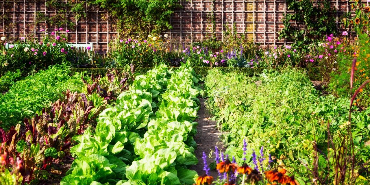 garden