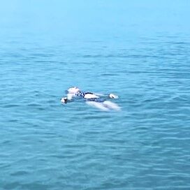 floating