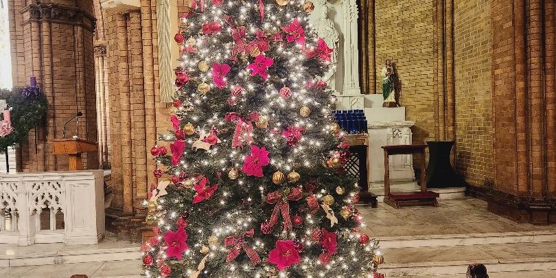 tree