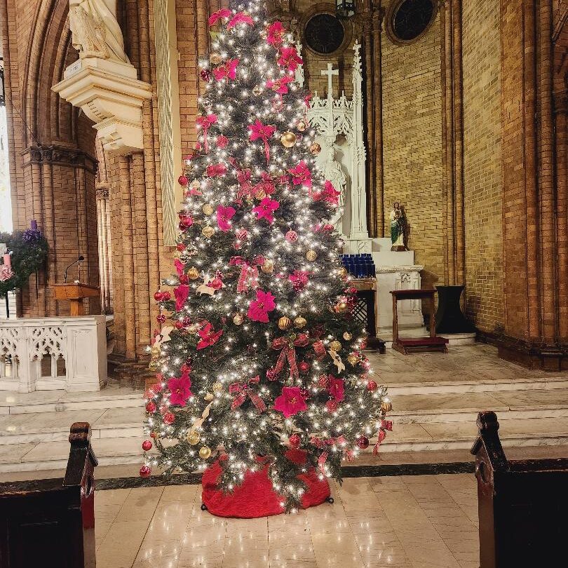 tree